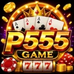 P555 Game